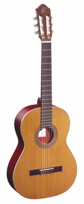 R200 i gruppen Guitar / Klassisk og Spansk Guitar / Ortega / 4/4 Scale / Full Size Standard hos Crafton Musik AB (332174053249)