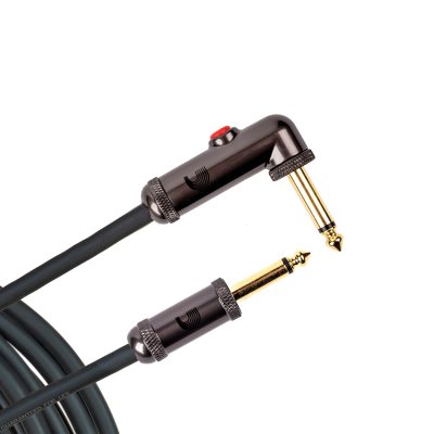 PW-AGLRA-10 i gruppen Kabler / D'Addario Accessories / Instrument Cables / Custom Series hos Crafton Musik AB (370701937050)