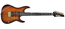 Electric Guitar