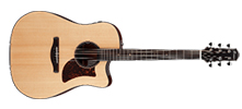 Acoustic Guitar