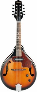 M510E-BS i gruppen Andre Strengerinstrumenter / Mandolin / Ibanez hos Crafton Musik AB (310010201313)