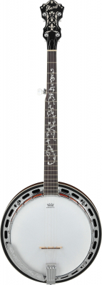 B200 i gruppen Andre Strengerinstrumenter / Banjo / Ibanez hos Crafton Musik AB (310025601313)