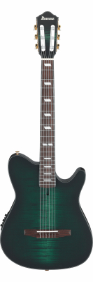FRH20FMN-DGL i gruppen Guitar / Klassisk og Spansk Guitar / Ibanez / FRH hos Crafton Musik AB (310108241114)