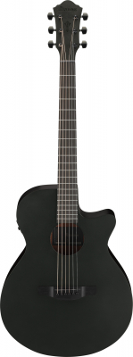 AEG621-BOT i gruppen Guitar / Western Guitar / AEG hos Crafton Musik AB (310118711114)