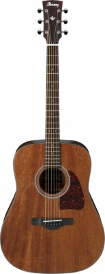 AW54-OPN i gruppen Guitar / Western Guitar / Artwood hos Crafton Musik AB (310126361212)