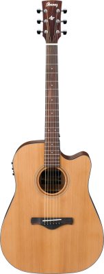 AW65ECE-LG i gruppen Guitar / Western Guitar / Artwood hos Crafton Musik AB (310127371212)