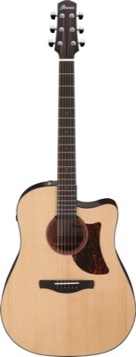 AAD170CE-LGS i gruppen Guitar / Western Guitar / AAD Advanced Acoustic hos Crafton Musik AB (310143521313)