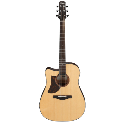 AAD170LCE-LGS i gruppen Guitar / Western Guitar / AAD Advanced Acoustic hos Crafton Musik AB (310143531313)