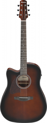 AAD51LCE-DVS i gruppen Guitar / Western Guitar / AAD Advanced Acoustic hos Crafton Musik AB (310143591313)
