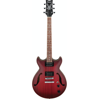 AM53-SRF i gruppen Guitar / Hollow Body / AM hos Crafton Musik AB (310306061114)