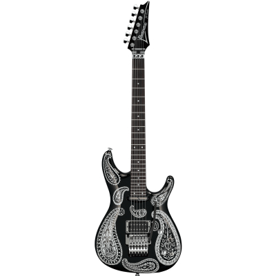 JS1BKP Paisley i gruppen  /  hos Crafton Musik AB (310366131010)