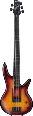 GWB205-TQF i gruppen Bass / Elektrisk / Ibanez / Signature Models / Gary Willis hos Crafton Musik AB (310684081410)