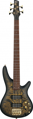 SR305EDX-FDM i gruppen Bass / Elektrisk / Ibanez / SR hos Crafton Musik AB (310736151414)