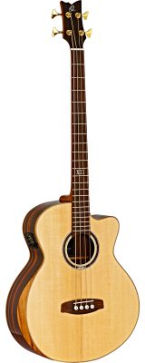 STRIPED SUITE ACB i gruppen Bass / Acoustic / Ortega / 4-String hos Crafton Musik AB (332204503249)