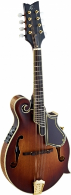 RMFE100AVO i gruppen Andre Strengerinstrumenter / Mandolin / Ortega / Med Pickup hos Crafton Musik AB (332356103249)