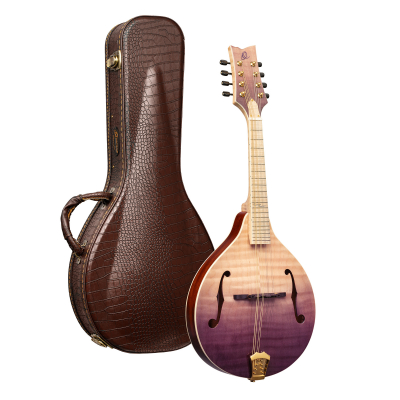 RMA200PF i gruppen Andre Strengerinstrumenter / Mandolin / Ortega / A Style hos Crafton Musik AB (332358053249)