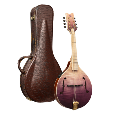 RMAE200PF i gruppen Andre Strengerinstrumenter / Mandolin / Ortega / A Style hos Crafton Musik AB (332358103249)