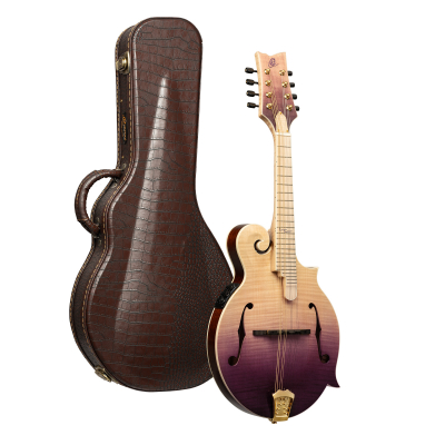 RMFE200PF i gruppen Andre Strengerinstrumenter / Mandolin / Ortega / A Style hos Crafton Musik AB (332358203249)
