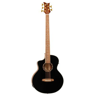 D8CE-5-L i gruppen Bass / Acoustic / Ortega / 4-String hos Crafton Musik AB (332380853349)
