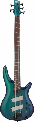 SRMS725-BCM