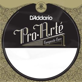 Lightly Polished Normal