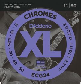 ECG24