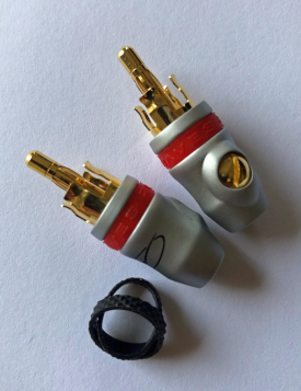 PW-RCAP-2