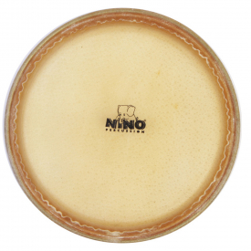 HEAD-NINO89-8