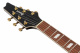 IC420-GD IC420-GD
