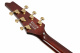 IC420-GD IC420-GD