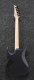 RGA42EX-BAM RGA42EX-BAM