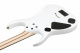 RGDR61G-WH RGDR61G-WH