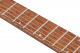 QX527PB-ABS QX527PB-ABS